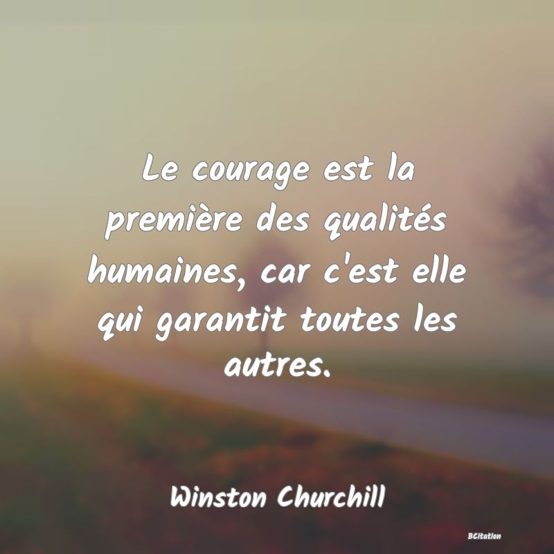 image de citation: Le courage est la première des qualités humaines, car c'est elle qui garantit toutes les autres.
