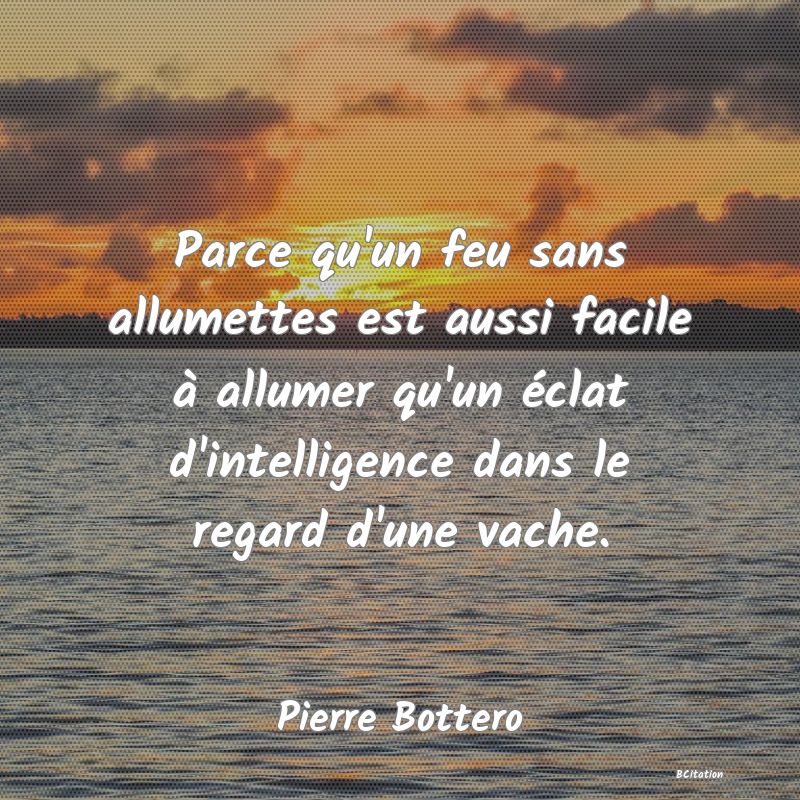 image de citation: Parce qu'un feu sans allumettes est aussi facile à allumer qu'un éclat d'intelligence dans le regard d'une vache.