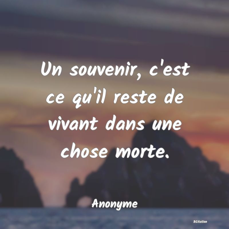 image de citation: Un souvenir, c'est ce qu'il reste de vivant dans une chose morte.