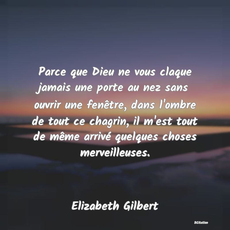 image de citation: Parce que Dieu ne vous claque jamais une porte au nez sans ouvrir une fenêtre, dans l'ombre de tout ce chagrin, il m'est tout de même arrivé quelques choses merveilleuses.