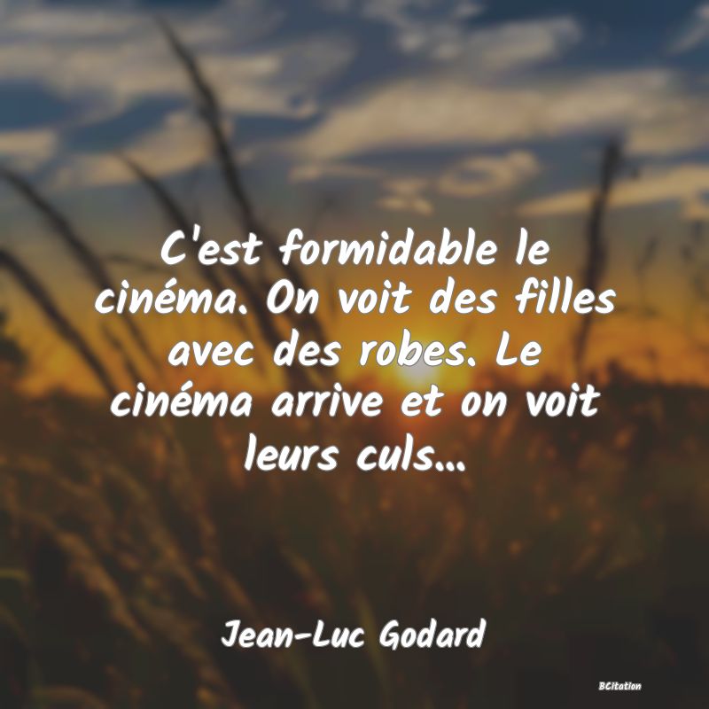 Belle Citation - C'est formidable le cinéma. On voit des filles avec des robes. Le cinéma arrive et on voit leurs culs... - Jean-Luc Godard