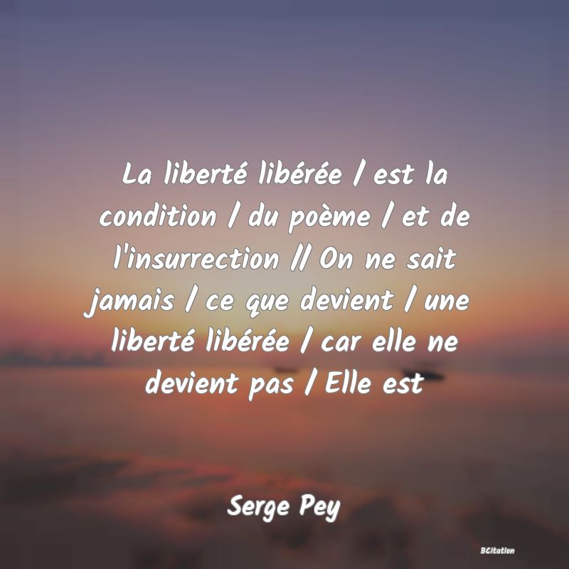 image de citation: La liberté libérée / est la condition / du poème / et de l'insurrection // On ne sait jamais / ce que devient / une liberté libérée / car elle ne devient pas / Elle est