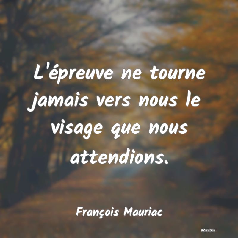 image de citation: L'épreuve ne tourne jamais vers nous le visage que nous attendions.