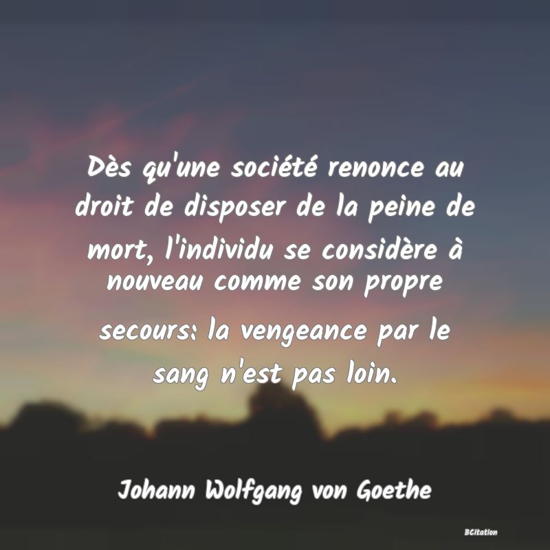Belle Citation - Dès qu'une société renonce au droit de disposer de la peine de mort, l'individu se considère à nouveau comme son propre secours: la vengeance par le sang n'est pas loin. - Johann Wolfgang von Goethe