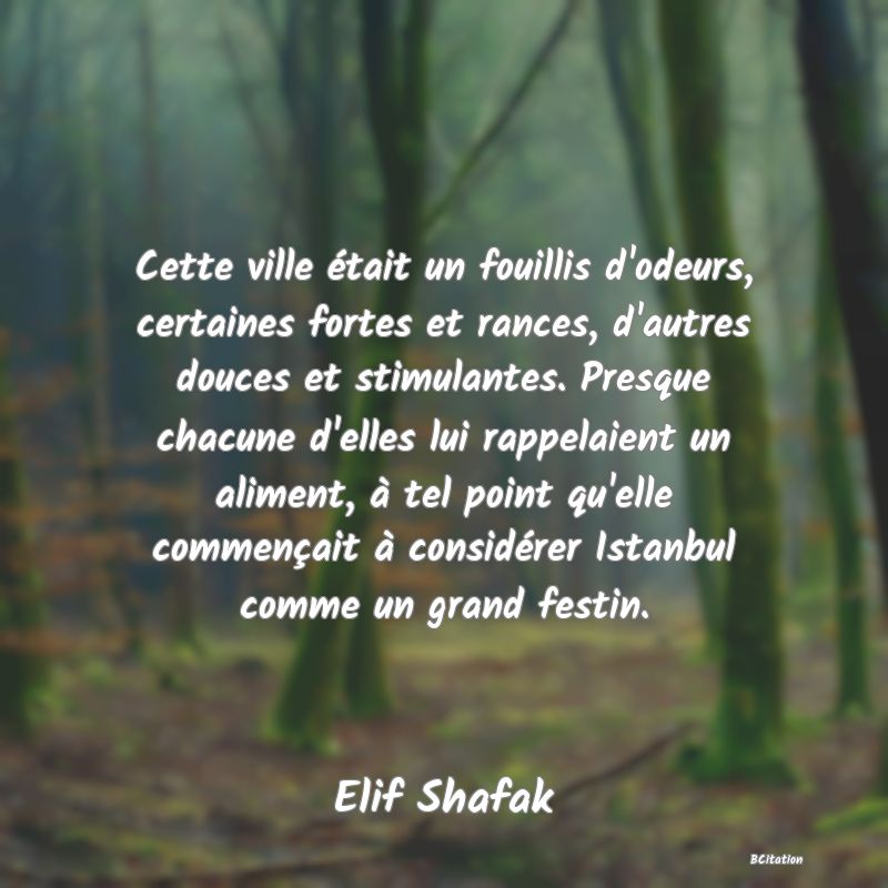 Belle Citation - Cette ville était un fouillis d'odeurs, certaines fortes et rances, d'autres douces et stimulantes. Presque chacune d'elles lui rappelaient un aliment, à tel point qu'elle commençait à considérer Istanbul comme un grand festin. - Elif Shafak