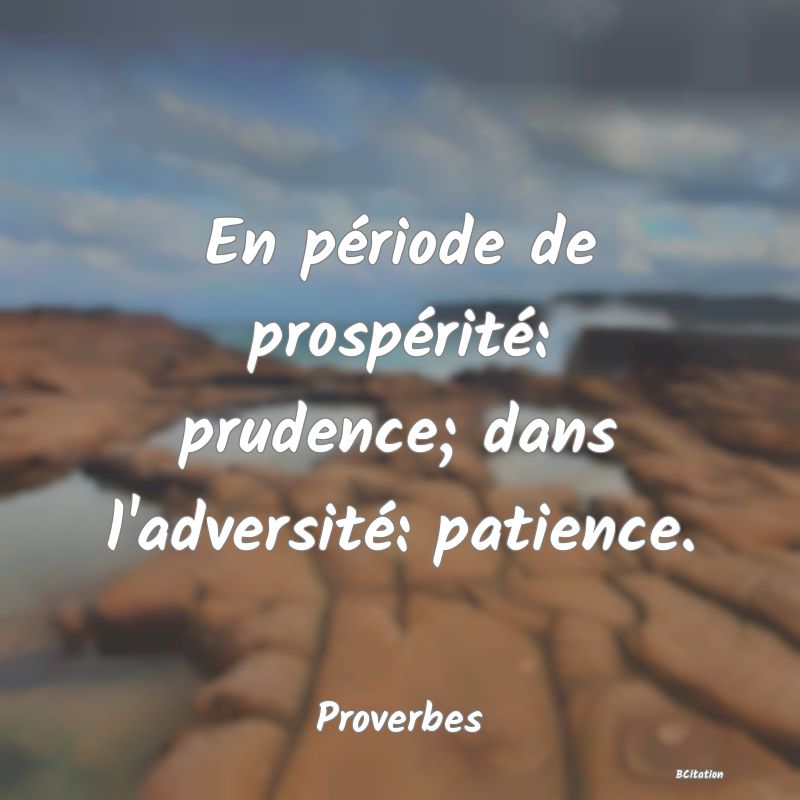 image de citation: En période de prospérité: prudence; dans l'adversité: patience.