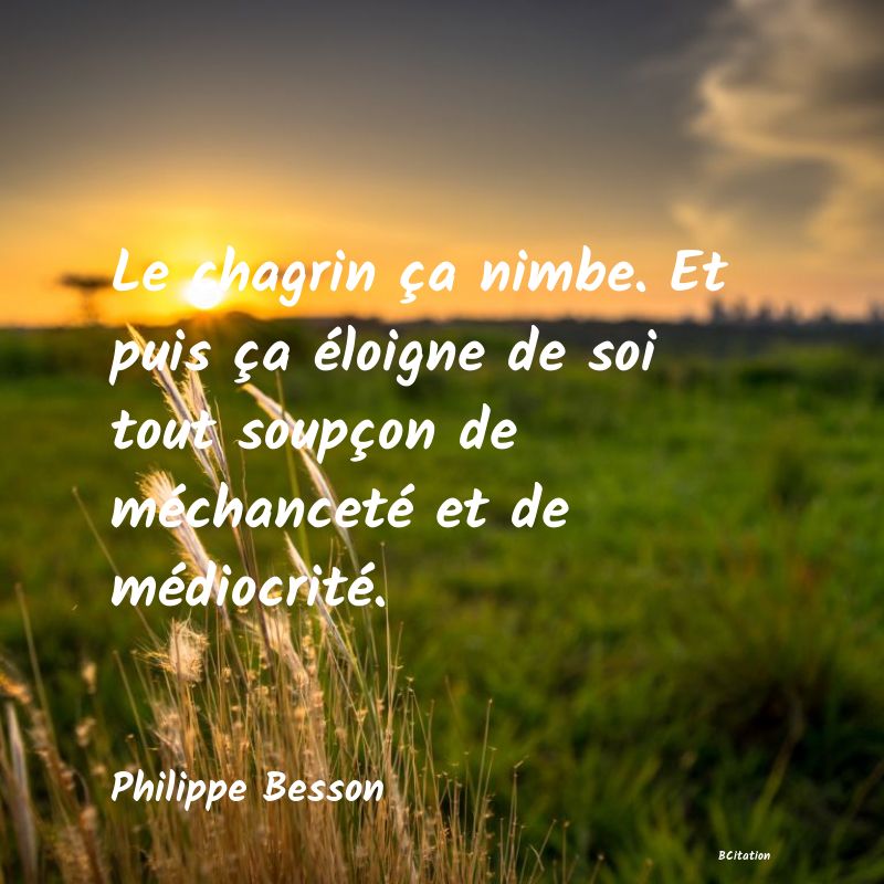 image de citation: Le chagrin ça nimbe. Et puis ça éloigne de soi tout soupçon de méchanceté et de médiocrité.