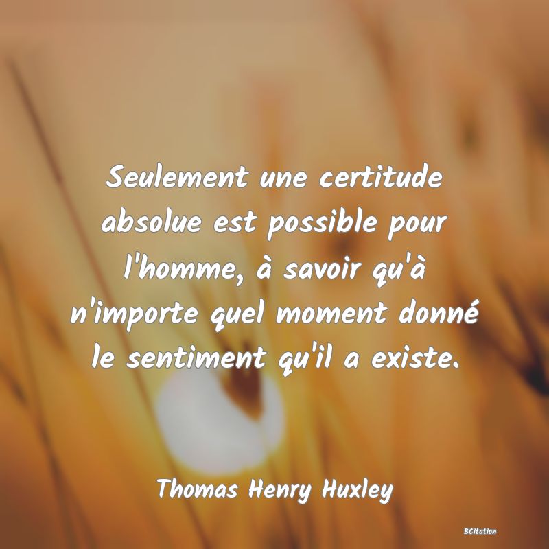 image de citation: Seulement une certitude absolue est possible pour l'homme, à savoir qu'à n'importe quel moment donné le sentiment qu'il a existe.