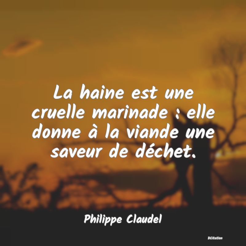 image de citation: La haine est une cruelle marinade : elle donne à la viande une saveur de déchet.