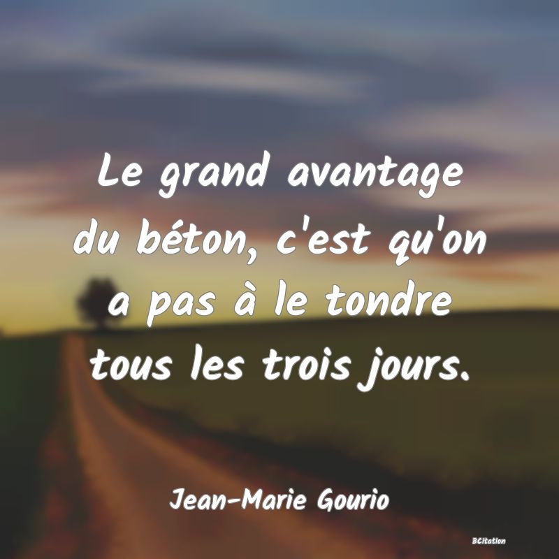 image de citation: Le grand avantage du béton, c'est qu'on a pas à le tondre tous les trois jours.