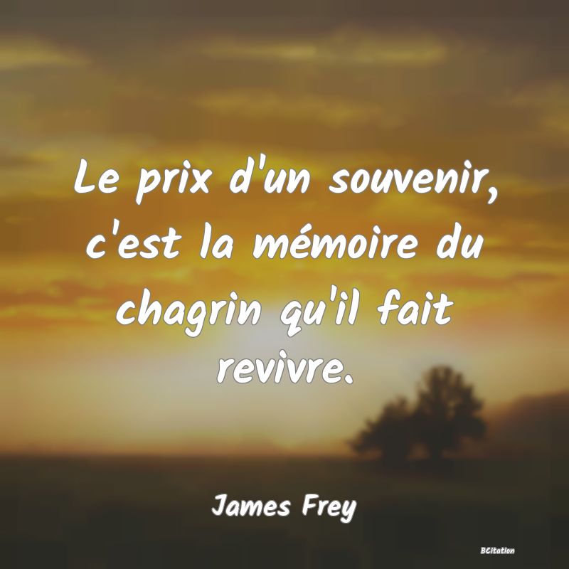 image de citation: Le prix d'un souvenir, c'est la mémoire du chagrin qu'il fait revivre.