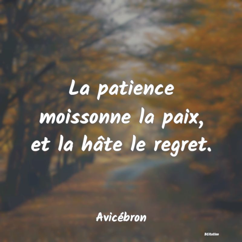image de citation: La patience moissonne la paix, et la hâte le regret.