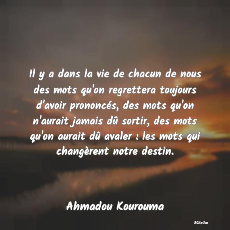 image de citation: Il y a dans la vie de chacun de nous des mots qu'on regrettera toujours d'avoir prononcés, des mots qu'on n'aurait jamais dû sortir, des mots qu'on aurait dû avaler : les mots qui changèrent notre destin.