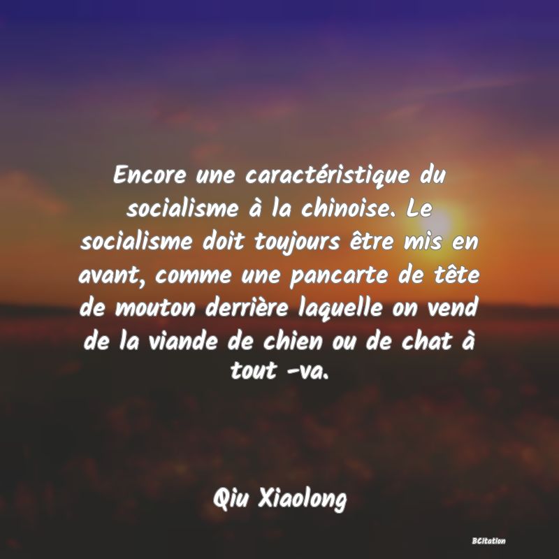 Belle Citation - Encore une caractéristique du socialisme à la chinoise. Le socialisme doit toujours être mis en avant, comme une pancarte de tête de mouton derrière laquelle on vend de la viande de chien ou de chat à tout -va. - Qiu Xiaolong