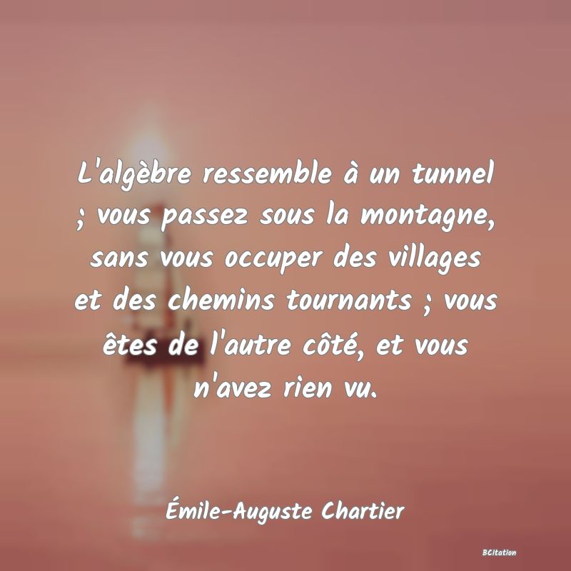 image de citation: L'algèbre ressemble à un tunnel ; vous passez sous la montagne, sans vous occuper des villages et des chemins tournants ; vous êtes de l'autre côté, et vous n'avez rien vu.