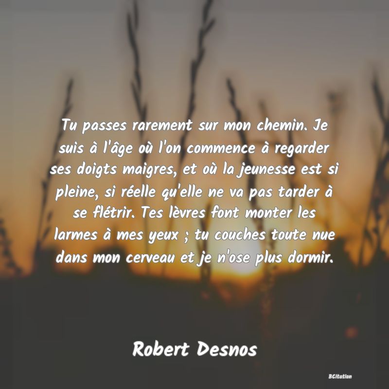 image de citation: Tu passes rarement sur mon chemin. Je suis à l'âge où l'on commence à regarder ses doigts maigres, et où la jeunesse est si pleine, si réelle qu'elle ne va pas tarder à se flétrir. Tes lèvres font monter les larmes à mes yeux ; tu couches toute nue dans mon cerveau et je n'ose plus dormir.