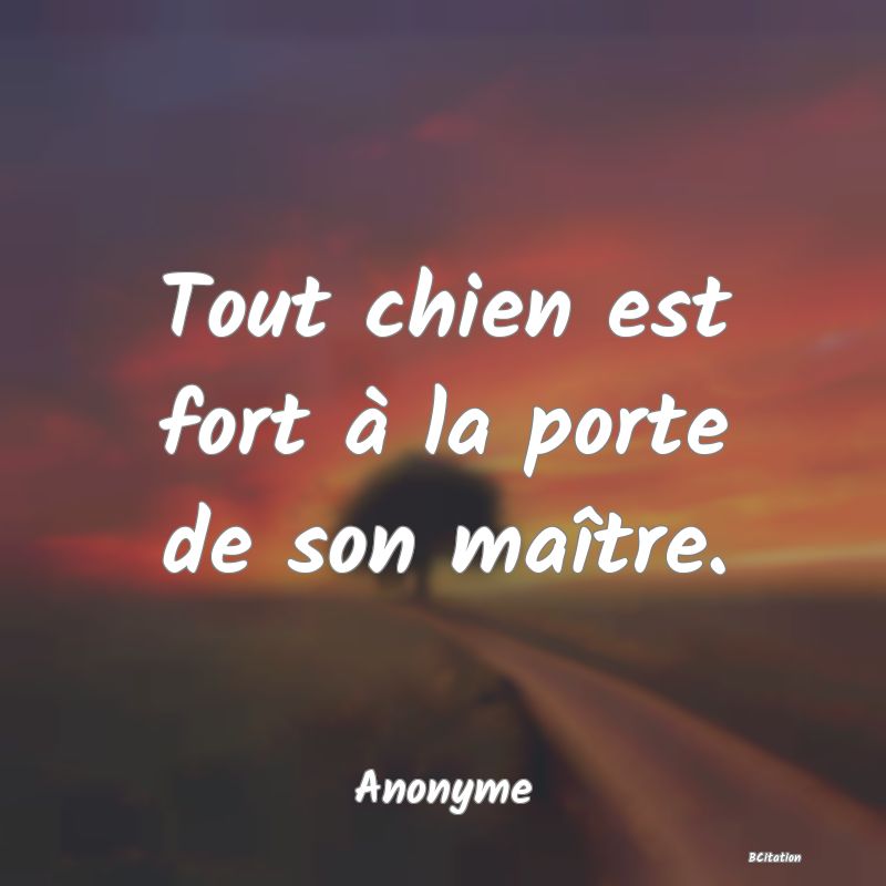 image de citation: Tout chien est fort à la porte de son maître.