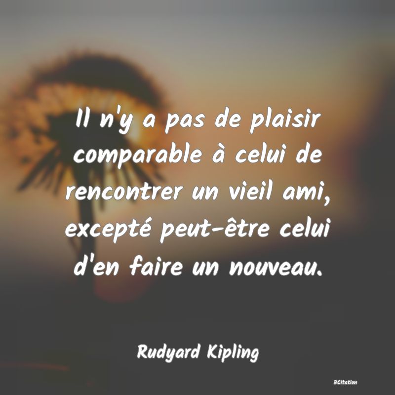 image de citation: Il n'y a pas de plaisir comparable à celui de rencontrer un vieil ami, excepté peut-être celui d'en faire un nouveau.