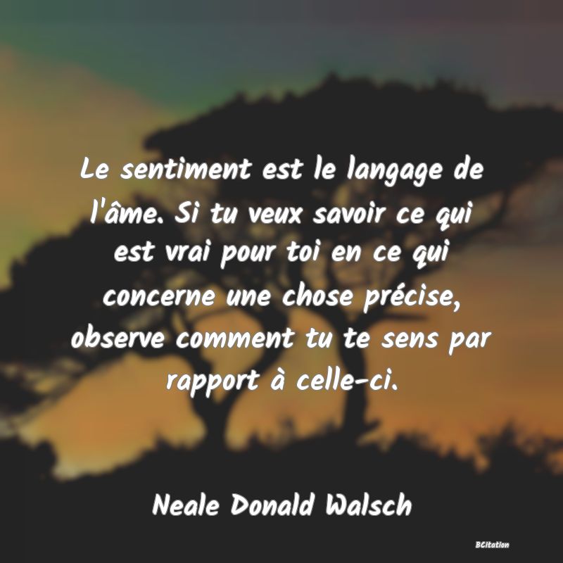 image de citation: Le sentiment est le langage de l'âme. Si tu veux savoir ce qui est vrai pour toi en ce qui concerne une chose précise, observe comment tu te sens par rapport à celle-ci.