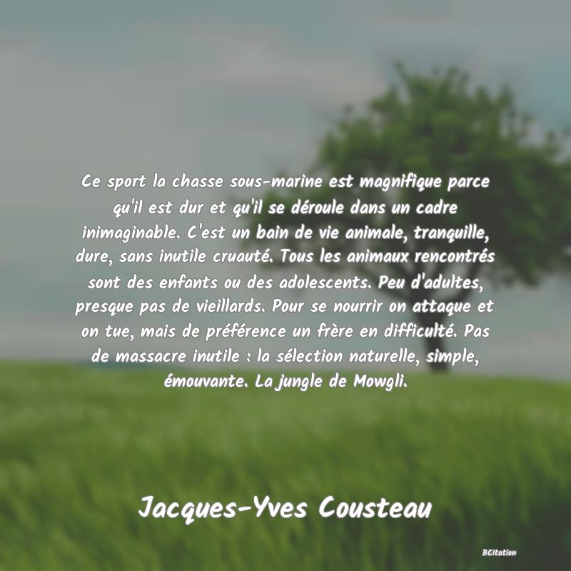 image de citation: Ce sport la chasse sous-marine est magnifique parce qu'il est dur et qu'il se déroule dans un cadre inimaginable. C'est un bain de vie animale, tranquille, dure, sans inutile cruauté. Tous les animaux rencontrés sont des enfants ou des adolescents. Peu d'adultes, presque pas de vieillards. Pour se nourrir on attaque et on tue, mais de préférence un frère en difficulté. Pas de massacre inutile : la sélection naturelle, simple, émouvante. La jungle de Mowgli.