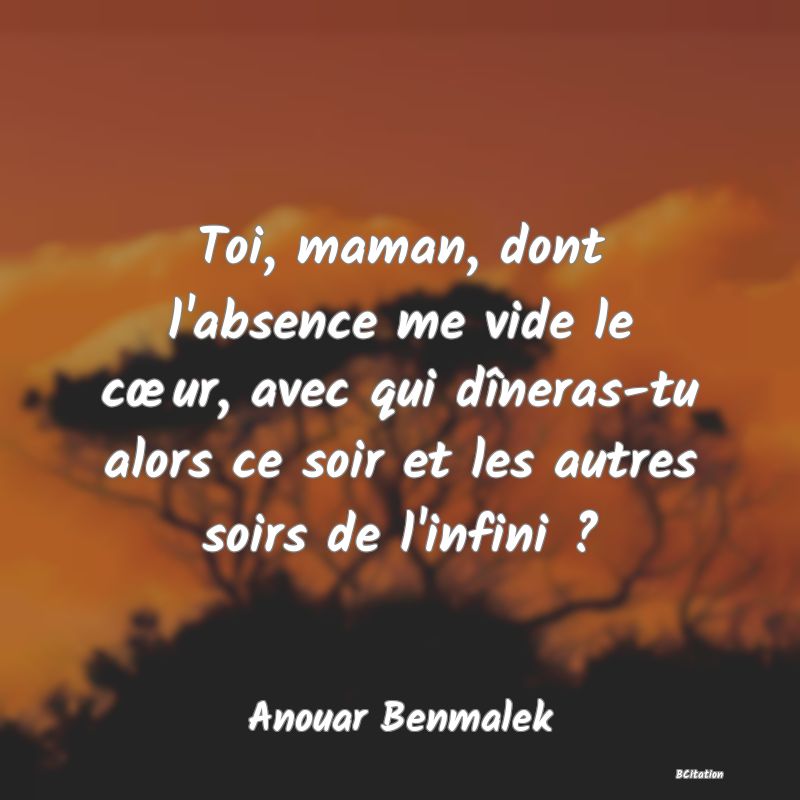 image de citation: Toi, maman, dont l'absence me vide le cœur, avec qui dîneras-tu alors ce soir et les autres soirs de l'infini ?