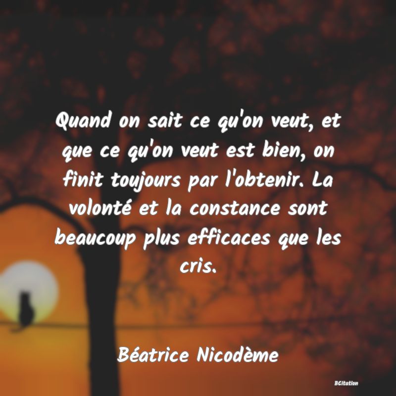 image de citation: Quand on sait ce qu'on veut, et que ce qu'on veut est bien, on finit toujours par l'obtenir. La volonté et la constance sont beaucoup plus efficaces que les cris.