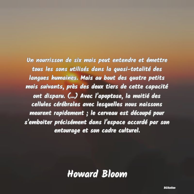 image de citation: Un nourrisson de six mois peut entendre et émettre tous les sons utilisés dans la quasi-totalité des langues humaines. Mais au bout des quatre petits mois suivants, près des deux tiers de cette capacité ont disparu. (...) Avec l'apoptose, la moitié des cellules cérébrales avec lesquelles nous naissons meurent rapidement ; le cerveau est découpé pour s'emboiter précisément dans l'espace accordé par son entourage et son cadre culturel.