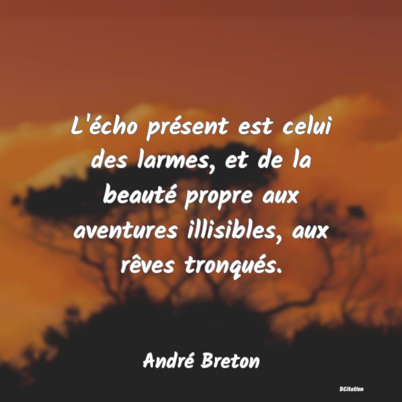 image de citation: L'écho présent est celui des larmes, et de la beauté propre aux aventures illisibles, aux rêves tronqués.