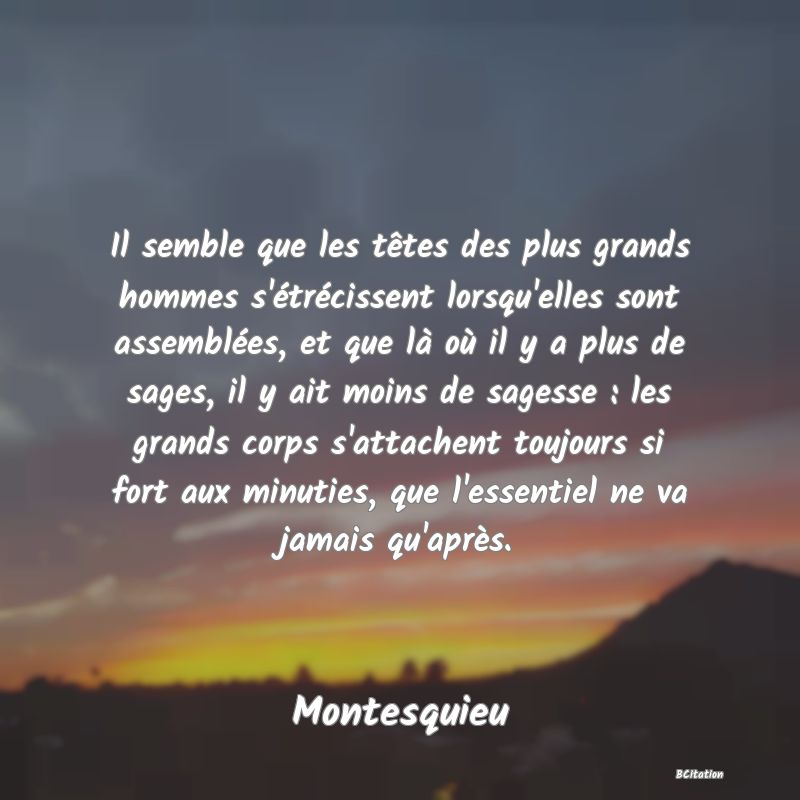 image de citation: Il semble que les têtes des plus grands hommes s'étrécissent lorsqu'elles sont assemblées, et que là où il y a plus de sages, il y ait moins de sagesse : les grands corps s'attachent toujours si fort aux minuties, que l'essentiel ne va jamais qu'après.