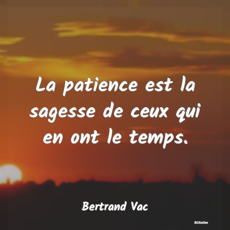 image de citation: La patience est la sagesse de ceux qui en ont le temps.