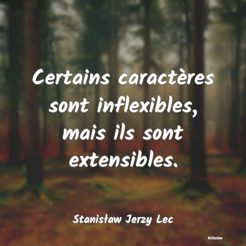 image de citation: Certains caractères sont inflexibles, mais ils sont extensibles.