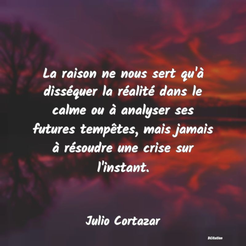 image de citation: La raison ne nous sert qu'à disséquer la réalité dans le calme ou à analyser ses futures tempêtes, mais jamais à résoudre une crise sur l'instant.