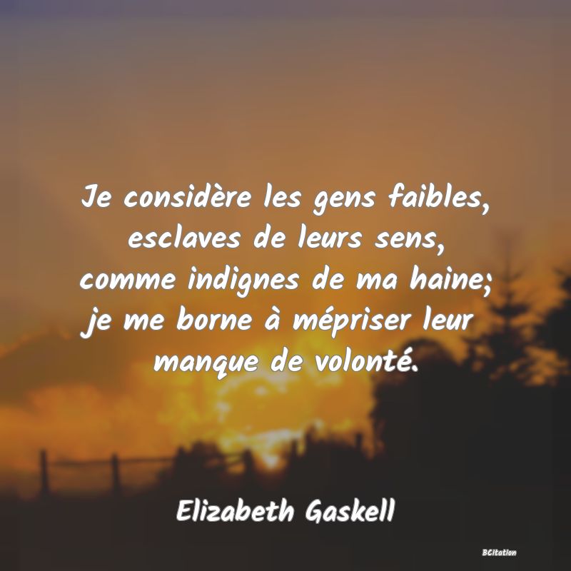 image de citation: Je considère les gens faibles, esclaves de leurs sens, comme indignes de ma haine; je me borne à mépriser leur manque de volonté.