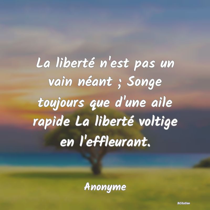 Belle Citation - La liberté n'est pas un vain néant ; Songe toujours que d'une aile rapide La liberté voltige en l'effleurant. - Anonyme