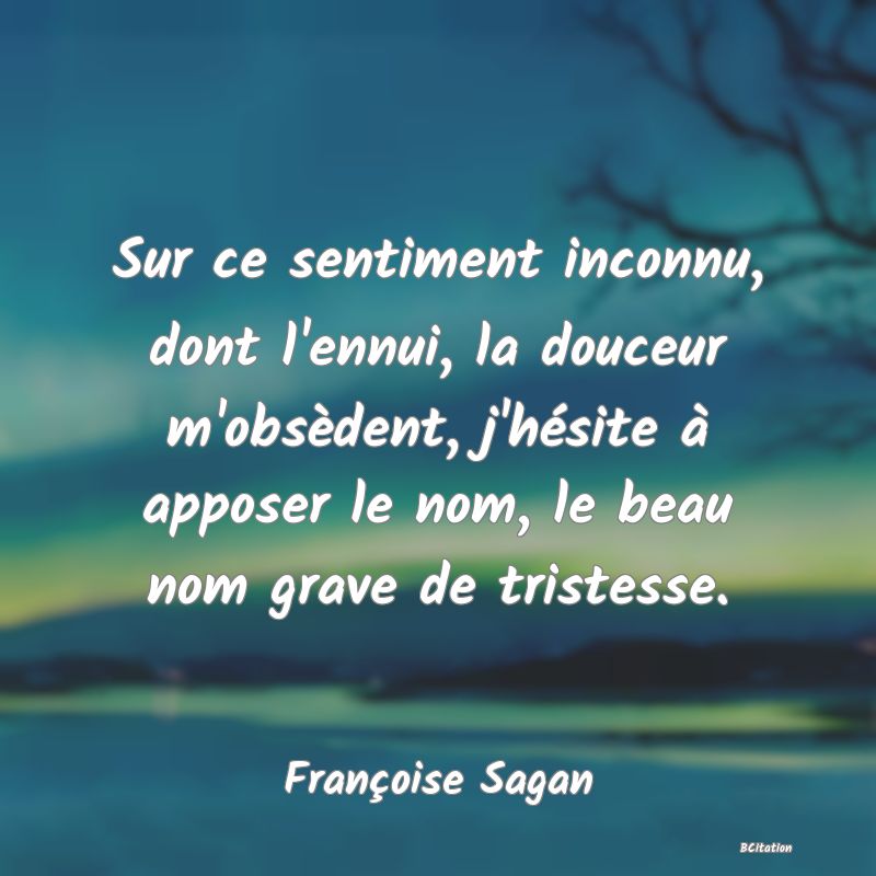 image de citation: Sur ce sentiment inconnu, dont l'ennui, la douceur m'obsèdent, j'hésite à apposer le nom, le beau nom grave de tristesse.