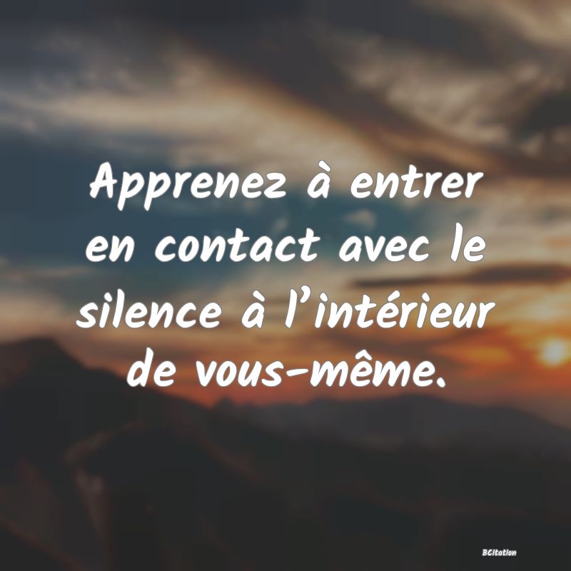 image de citation: Apprenez à entrer en contact avec le silence à l’intérieur de vous-même.