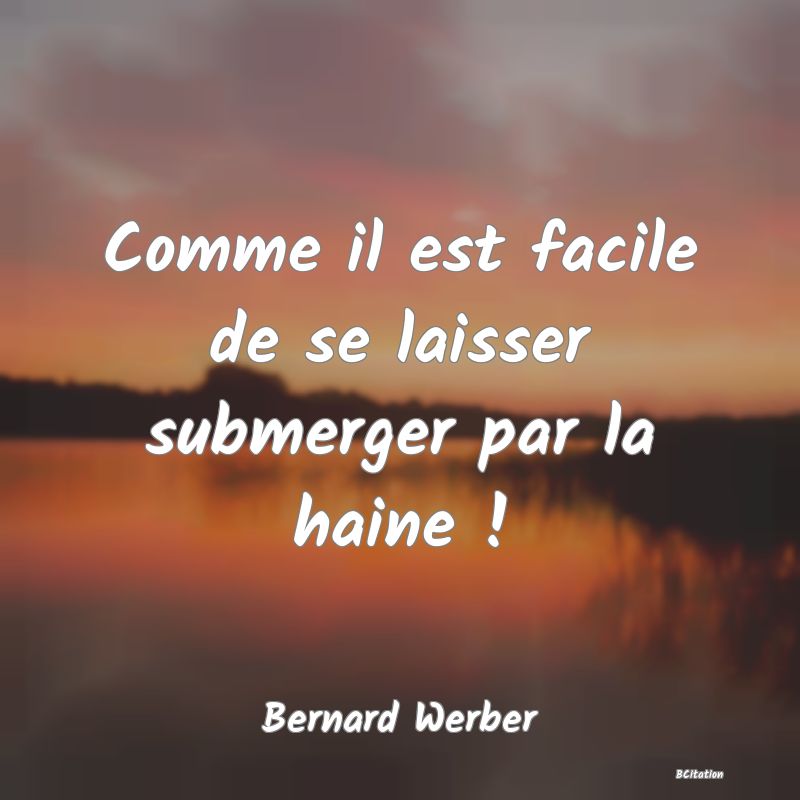 Belle Citation - Comme il est facile de se laisser submerger par la haine ! - Bernard Werber