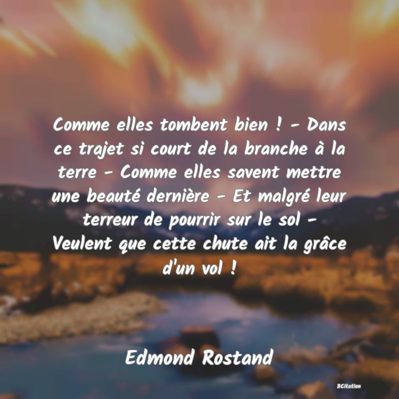 image de citation: Comme elles tombent bien ! - Dans ce trajet si court de la branche à la terre - Comme elles savent mettre une beauté dernière - Et malgré leur terreur de pourrir sur le sol - Veulent que cette chute ait la grâce d'un vol !