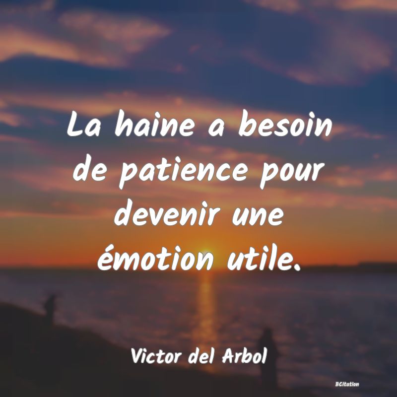 image de citation: La haine a besoin de patience pour devenir une émotion utile.