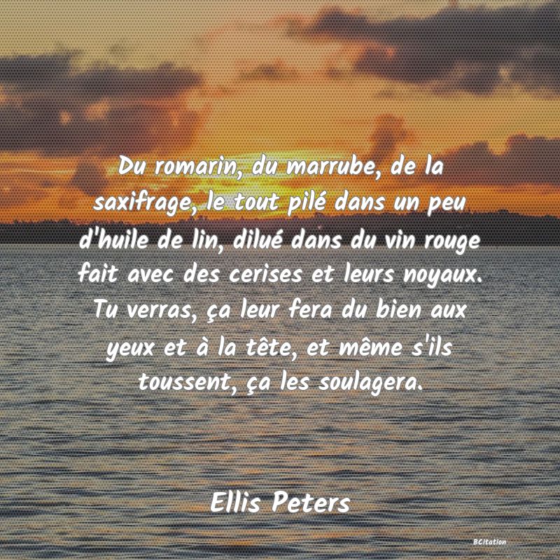 image de citation: Du romarin, du marrube, de la saxifrage, le tout pilé dans un peu d'huile de lin, dilué dans du vin rouge fait avec des cerises et leurs noyaux. Tu verras, ça leur fera du bien aux yeux et à la tête, et même s'ils toussent, ça les soulagera.