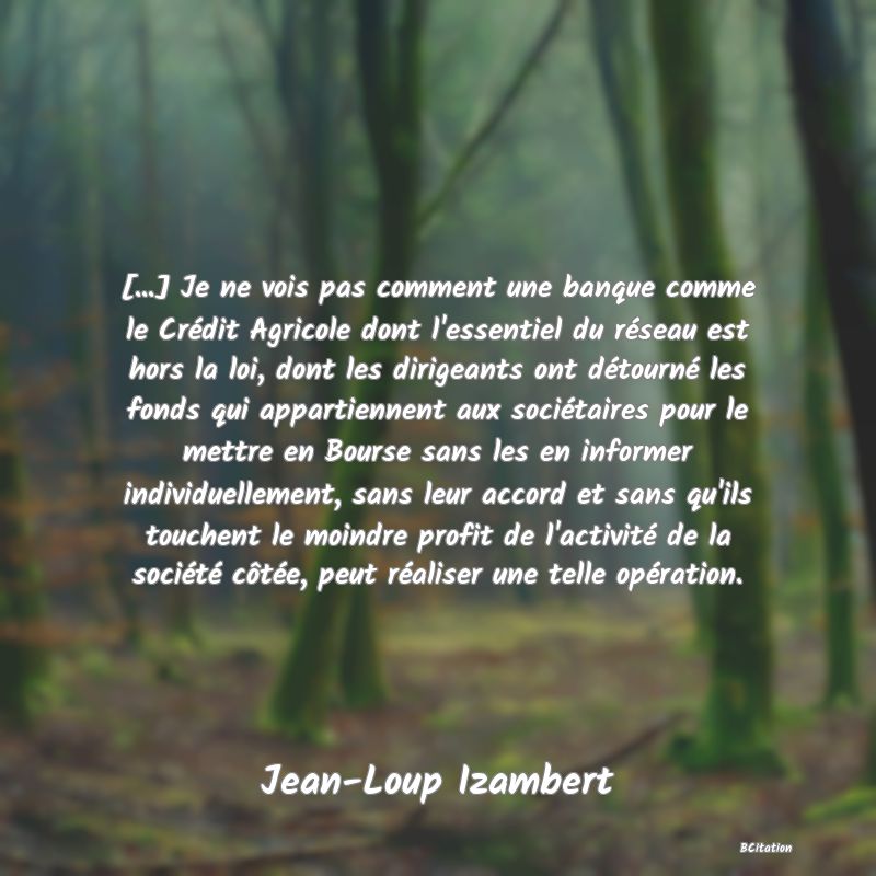 image de citation: [...] Je ne vois pas comment une banque comme le Crédit Agricole dont l'essentiel du réseau est hors la loi, dont les dirigeants ont détourné les fonds qui appartiennent aux sociétaires pour le mettre en Bourse sans les en informer individuellement, sans leur accord et sans qu'ils touchent le moindre profit de l'activité de la société côtée, peut réaliser une telle opération.