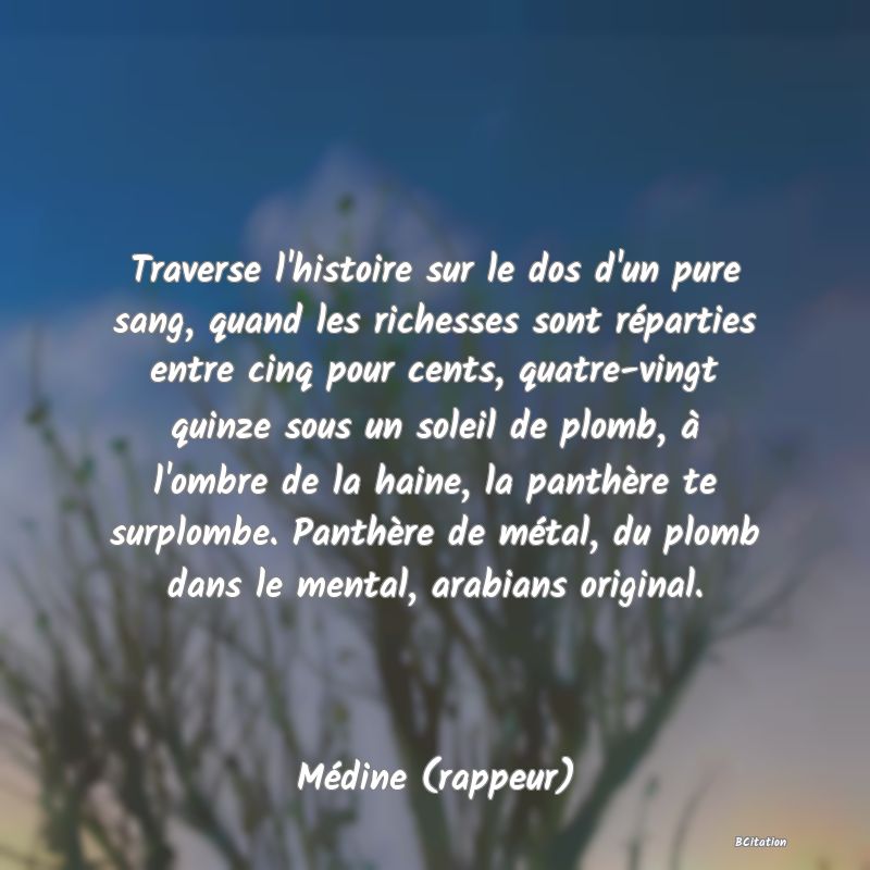 image de citation: Traverse l'histoire sur le dos d'un pure sang, quand les richesses sont réparties entre cinq pour cents, quatre-vingt quinze sous un soleil de plomb, à l'ombre de la haine, la panthère te surplombe. Panthère de métal, du plomb dans le mental, arabians original.