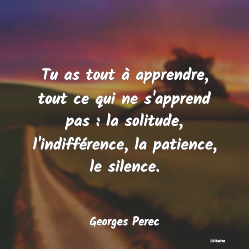 image de citation: Tu as tout à apprendre, tout ce qui ne s'apprend pas : la solitude, l'indifférence, la patience, le silence.