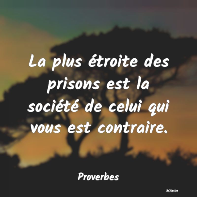 image de citation: La plus étroite des prisons est la société de celui qui vous est contraire.