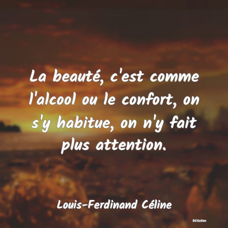 image de citation: La beauté, c'est comme l'alcool ou le confort, on s'y habitue, on n'y fait plus attention.