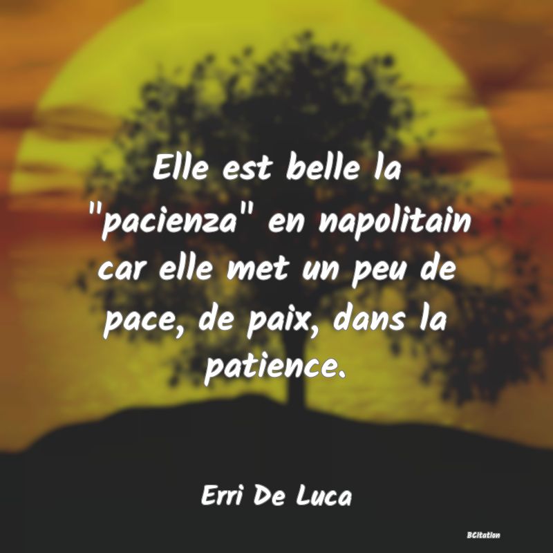 image de citation: Elle est belle la  pacienza  en napolitain car elle met un peu de pace, de paix, dans la patience.