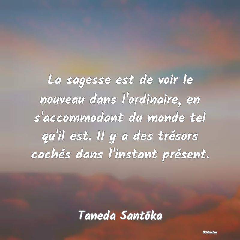 image de citation: La sagesse est de voir le nouveau dans l'ordinaire, en s'accommodant du monde tel qu'il est. Il y a des trésors cachés dans l'instant présent.