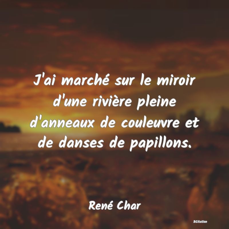 image de citation: J'ai marché sur le miroir d'une rivière pleine d'anneaux de couleuvre et de danses de papillons.