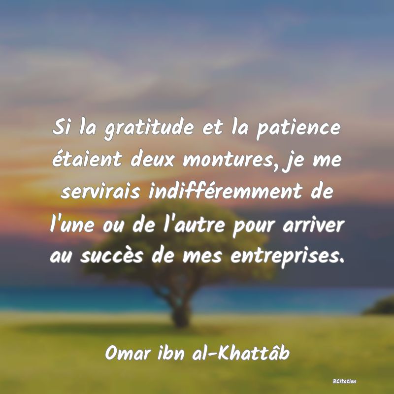 image de citation: Si la gratitude et la patience étaient deux montures, je me servirais indifféremment de l'une ou de l'autre pour arriver au succès de mes entreprises.