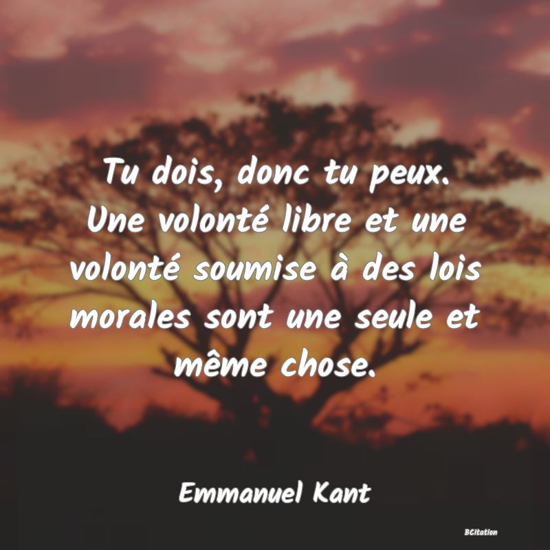 image de citation: Tu dois, donc tu peux. Une volonté libre et une volonté soumise à des lois morales sont une seule et même chose.